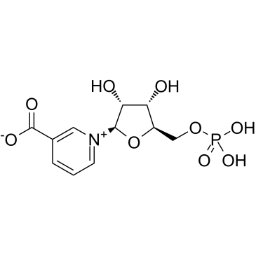 Nicotinic acid mononucleotide