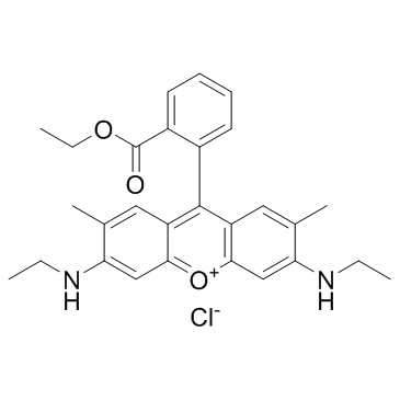 Rhodamine 6G (Basic Red 1)