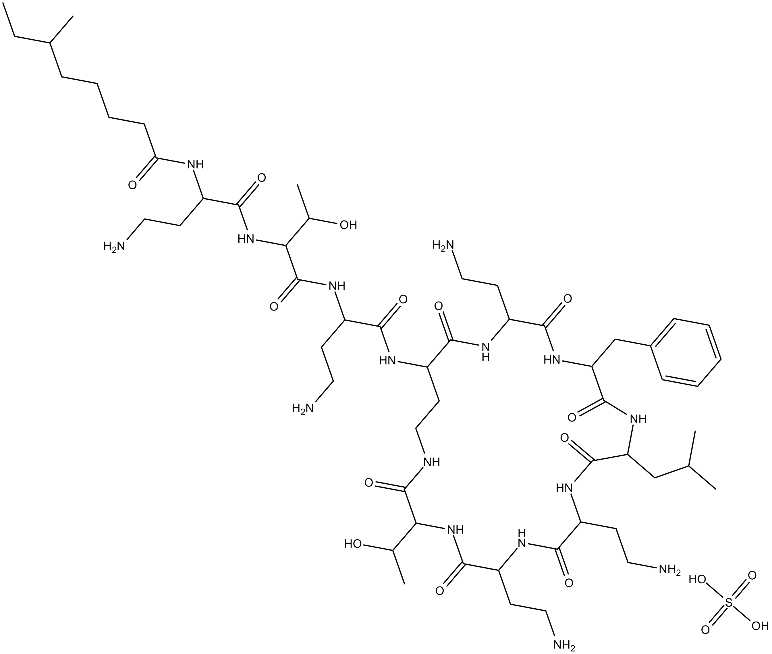 Polymyxin B (sulfate)