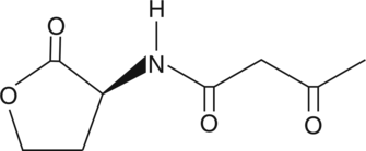 N-3-oxo-butyryl-L-Homoserine lactone