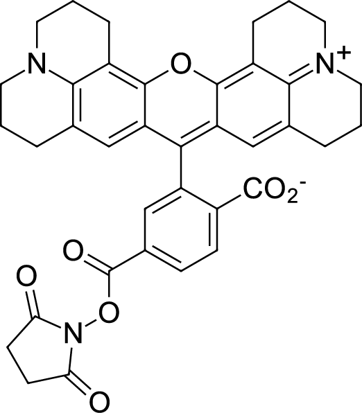 ROX NHS ester, 6- isomer