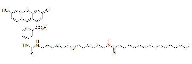 FITC-Palmitic acid