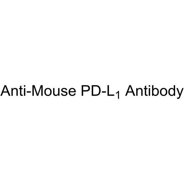 Anti-Mouse PD-L1 Antibody