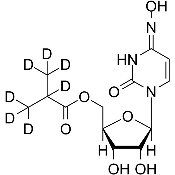 Molnupiravir-d7
